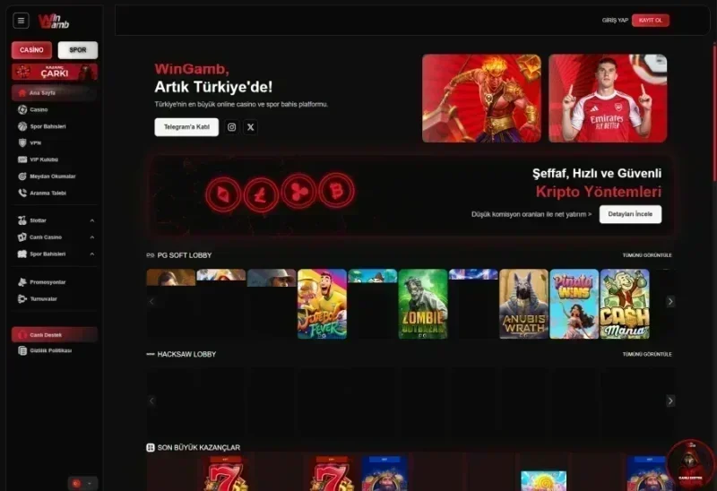 Wingamb ana sayfa görünümü